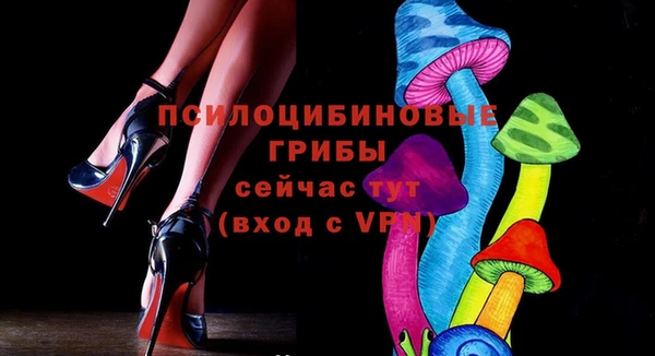 PSILOCYBIN Аркадак