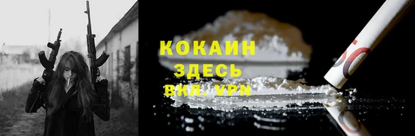 дурь Арсеньев