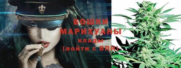 дурь Арсеньев