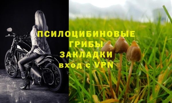 ALPHA PVP Армянск