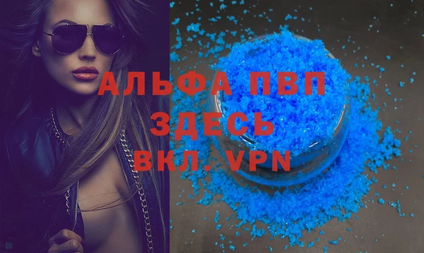 PSILOCYBIN Аркадак