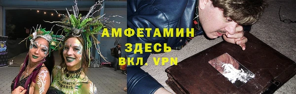дурь Арсеньев